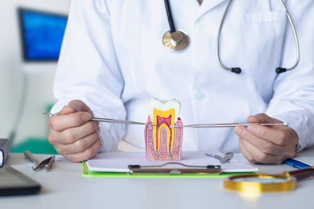 Best Emergency Dental Care for Broken or Chipped Teeth in Ainaloa, HI